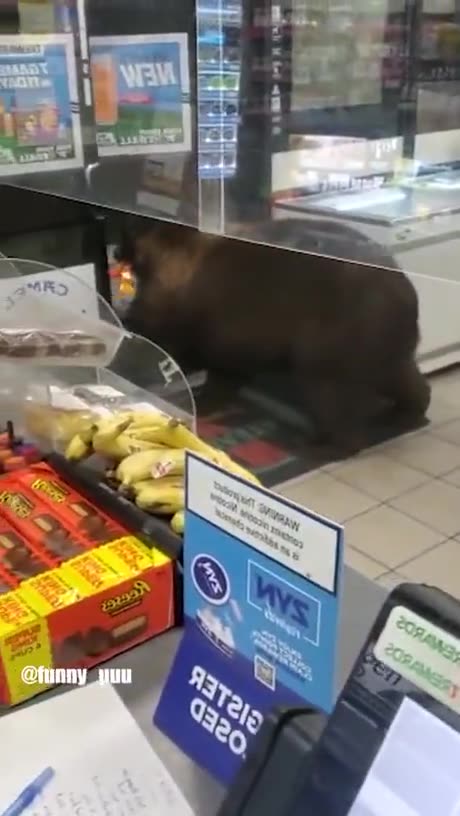 Funny 🐈🐈🐈🐈🐈🐈🐈🐈🐈