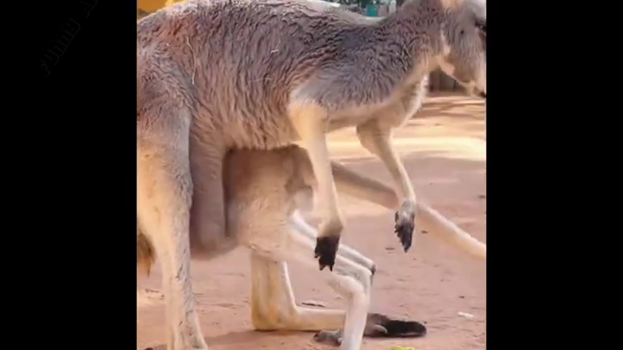 Funny