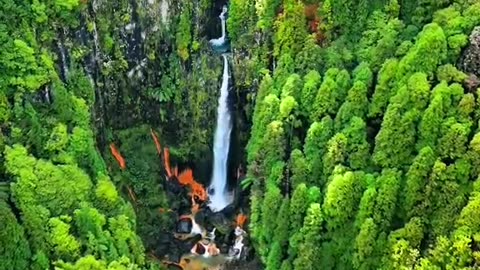 Salto do Prego Falls, São Miguel Island, Azores, Portugal 🇵🇹