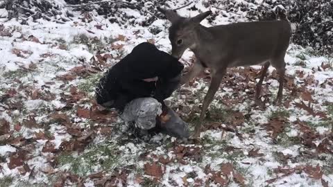 Kids Play with Rescued Fawn