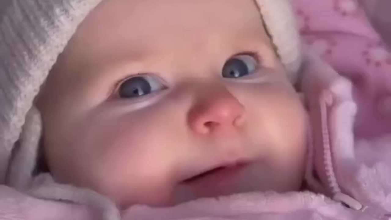 try not to laugh baby videos for babies to watch