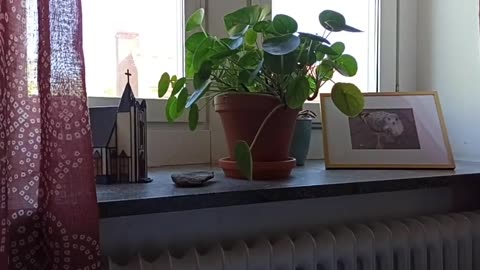 Matteusevangeliet kapitel 24 vers 29-51 Människosonen kommer Örebro 17 Maj 2022