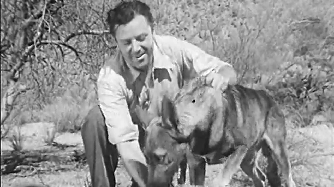 Desert Escape (1940) American Crime Mystery Drama Full Movie