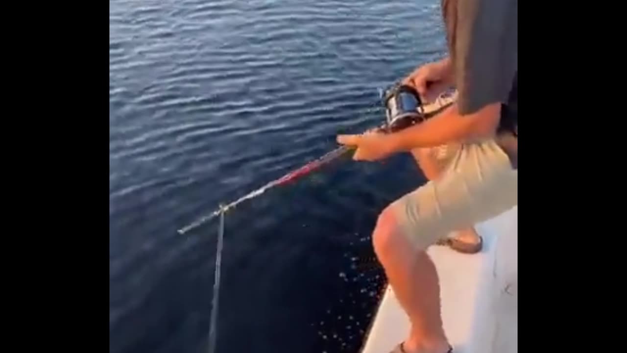That's a very big one I think 🤷‍♂️
