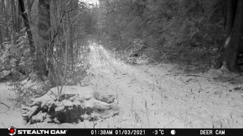 December 2022 Trail Cam - Date/Time wrong due to battery failure