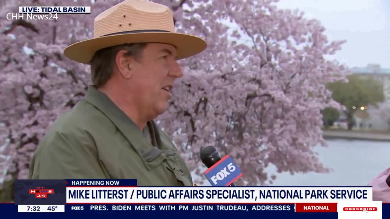 Thousands arrive in DC for National Cherry Blossom Festival