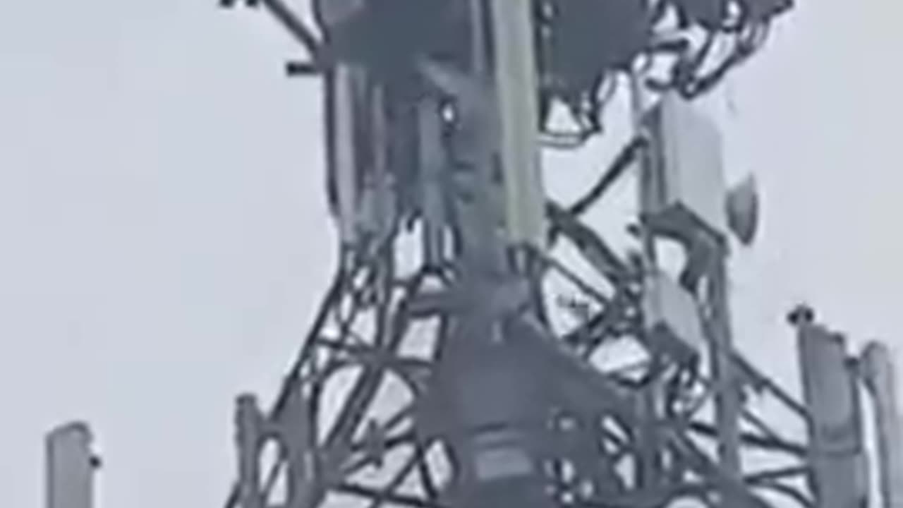 Even the birds know the danger, destroying 5G tower