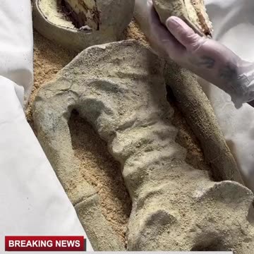 "Alienígenas" expostos no México seriam bolo, segundo vídeo viral