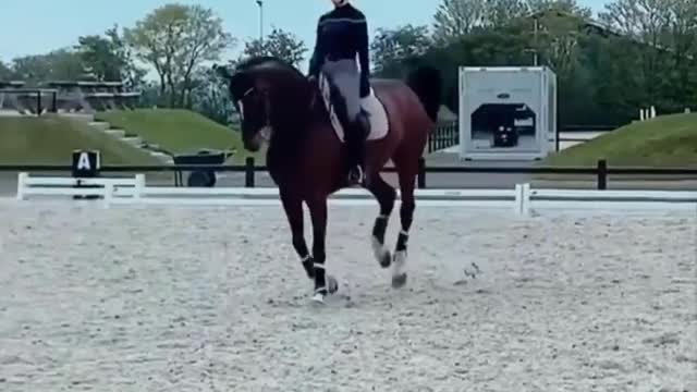 Horse SOO Cute! Cute And funny horse Videos Compilation cute moment #23