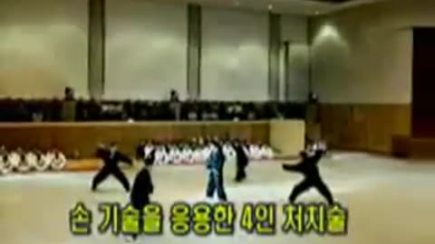 Hapkido