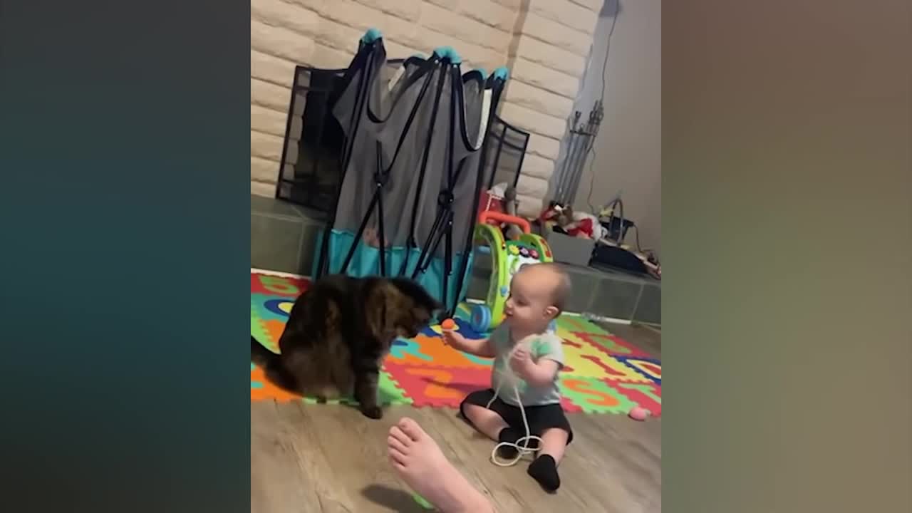 Cats and Babies Playing together Cutest Videos