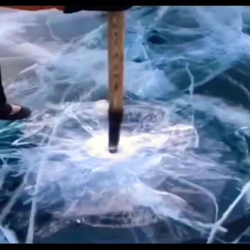 #Shorts#Respect 😡🔥 😎Respect