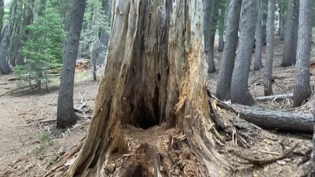 Central Oregon - PERFECT Hide & Seek Hiding Spot