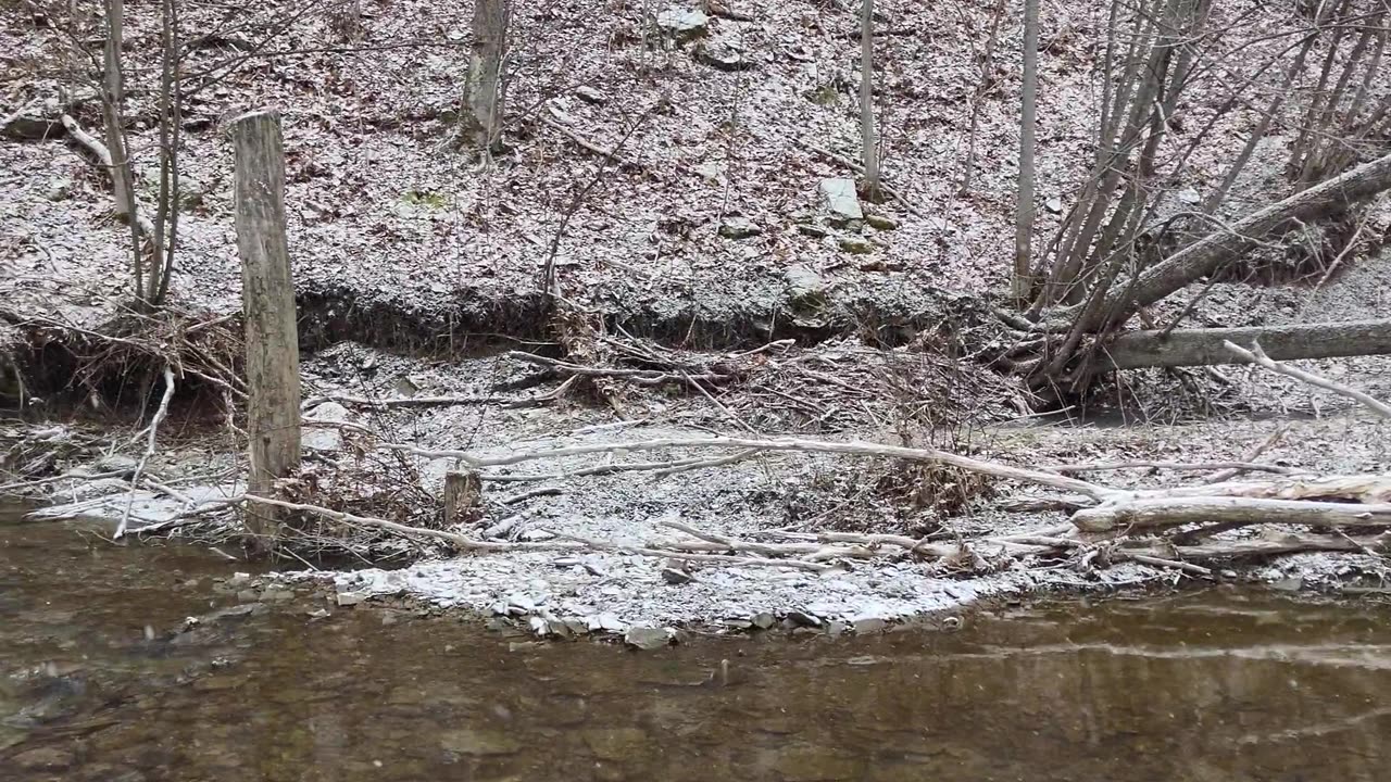 Serenity at the Creek.