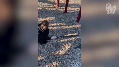 Playground FAILS You Can't Stop Laughing At