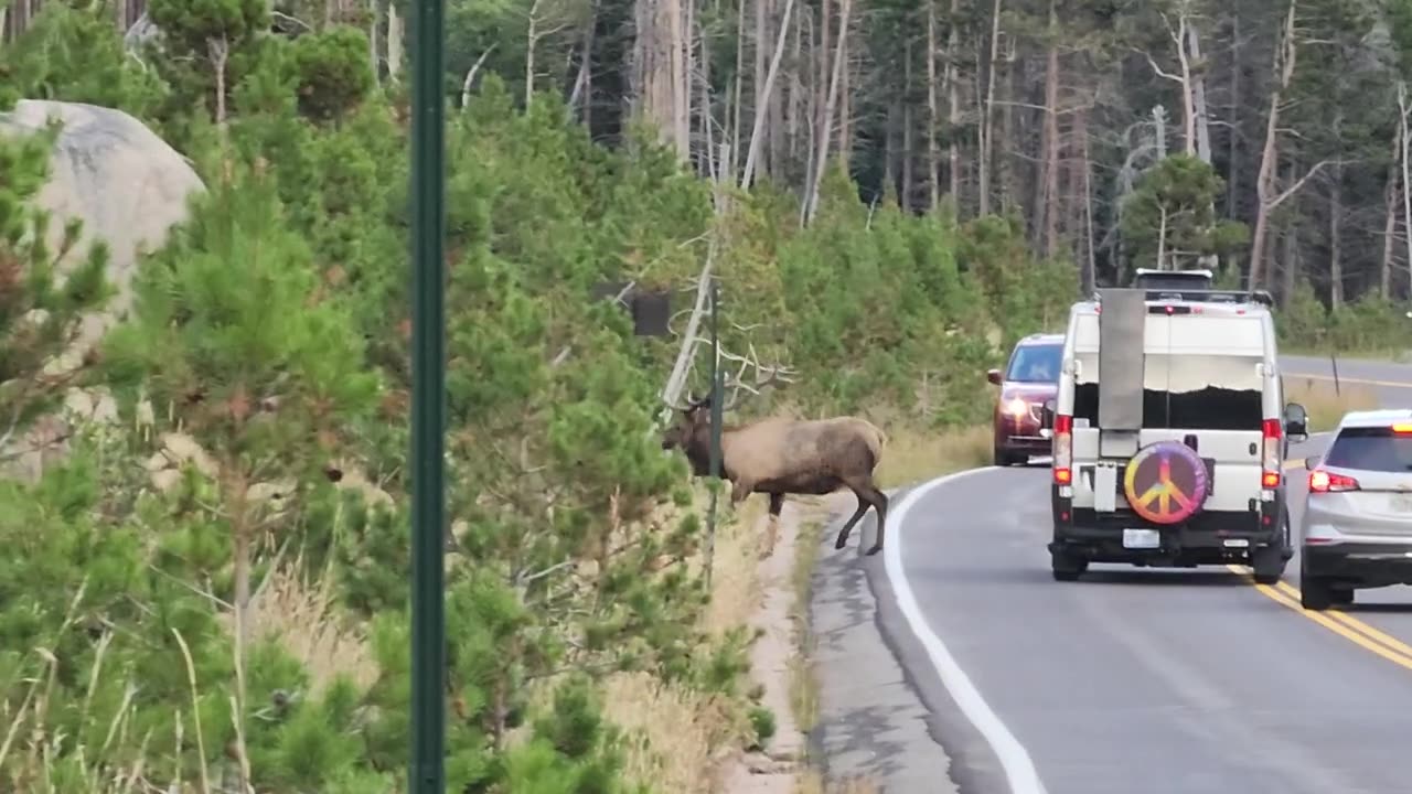 Breathtaking beauty of America's Rocky Mountain National Park