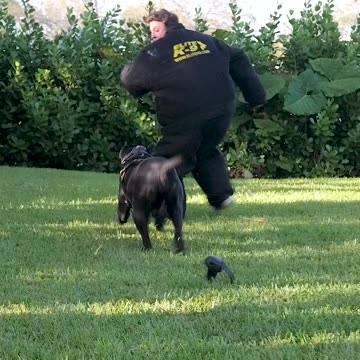 What Song Are You Listening To?