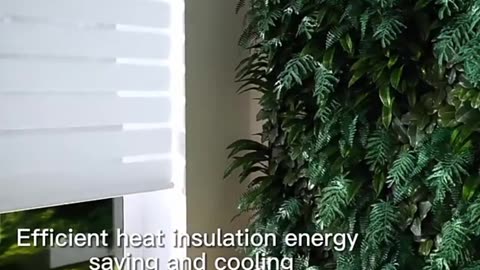 Window securable