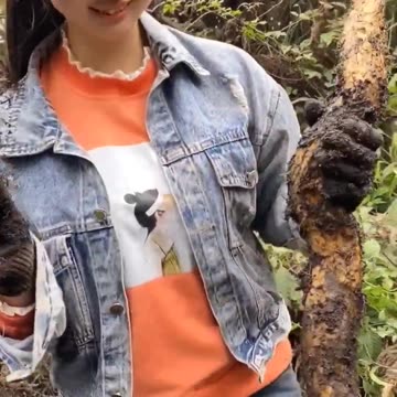 Cô gái vùng cao Gánh nặng mưu sinh Clip cảm động