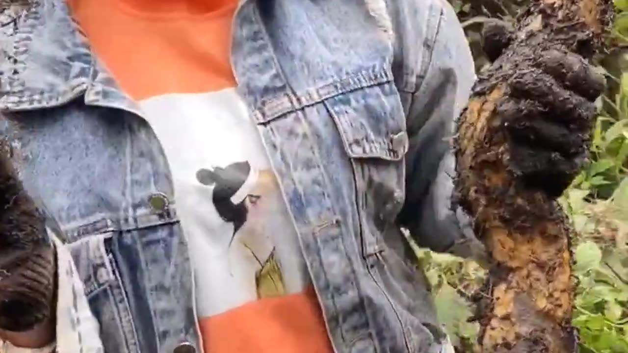 Cô gái vùng cao Gánh nặng mưu sinh Clip cảm động