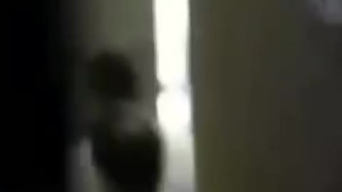 GENOCIDE VIDEO PROOF