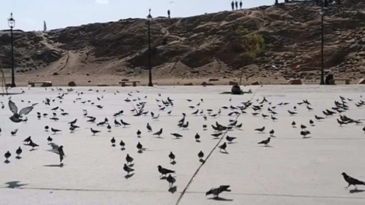 Uhud Mountain || جَبَل أُحُد|| mountain in Saudi Arabia || jabluhud || mountinKSA