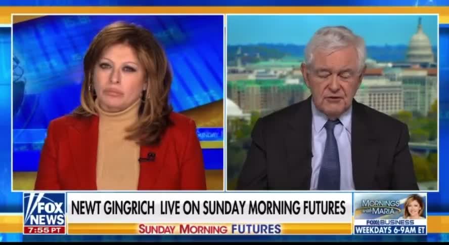 Newt Gingrich Makes Bold Prediction About Liz Cheney and Others