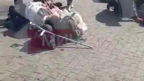 Ukraine War - Bombing of Kramatorsk Railway station (Graphic)