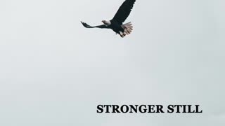 Pray USA, 1/20/23 Stronger Still
