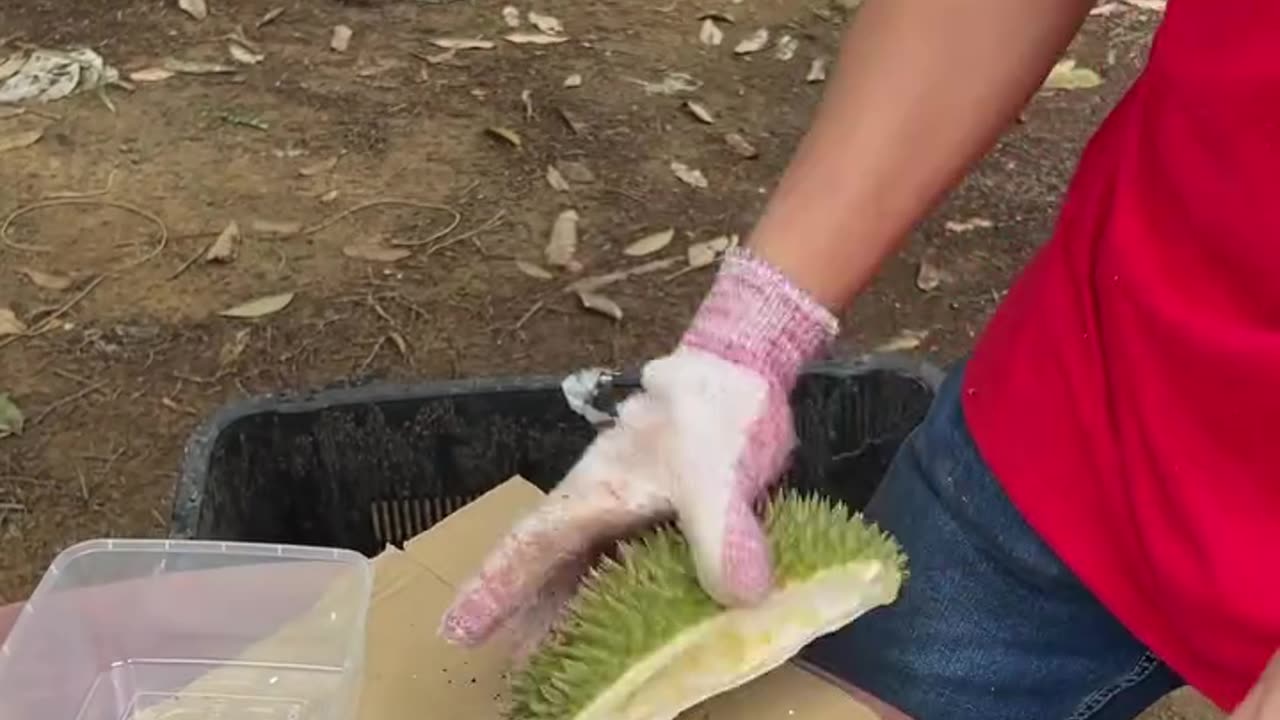 Durian cutting