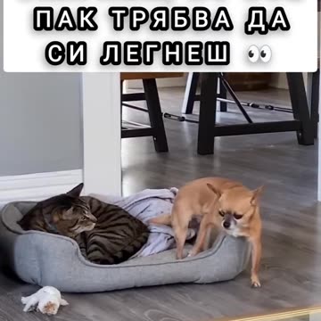 WHEN YOU HAVE A FIGHT WITH YOUR WOMAN BUT YOU NEED TO BED