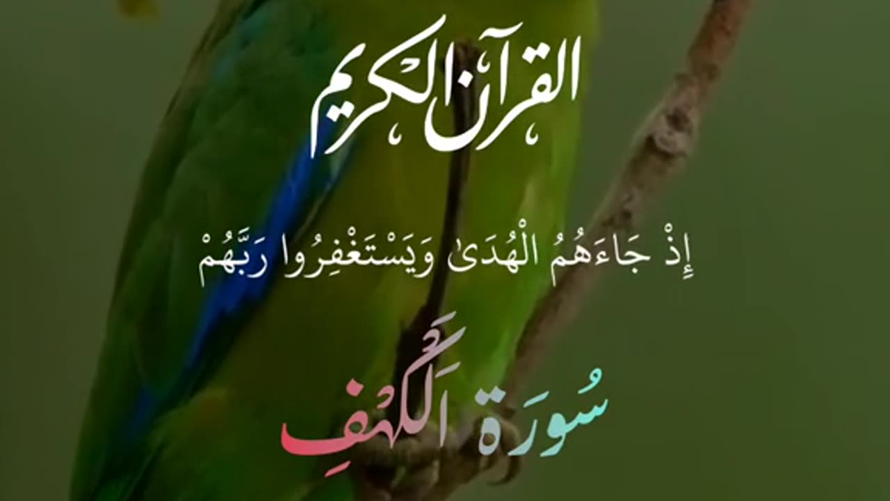 Quran Recitation | Read