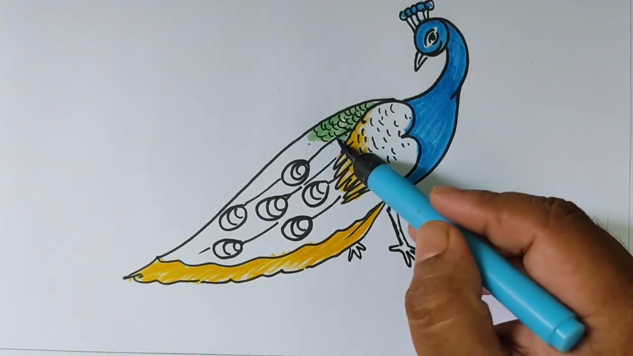 Easy peacock drawing from 39.39 দিয়ে সহজে ময়ূর পাখি আঁকা শিখুন। ছবি আকাঁ শেখা। d