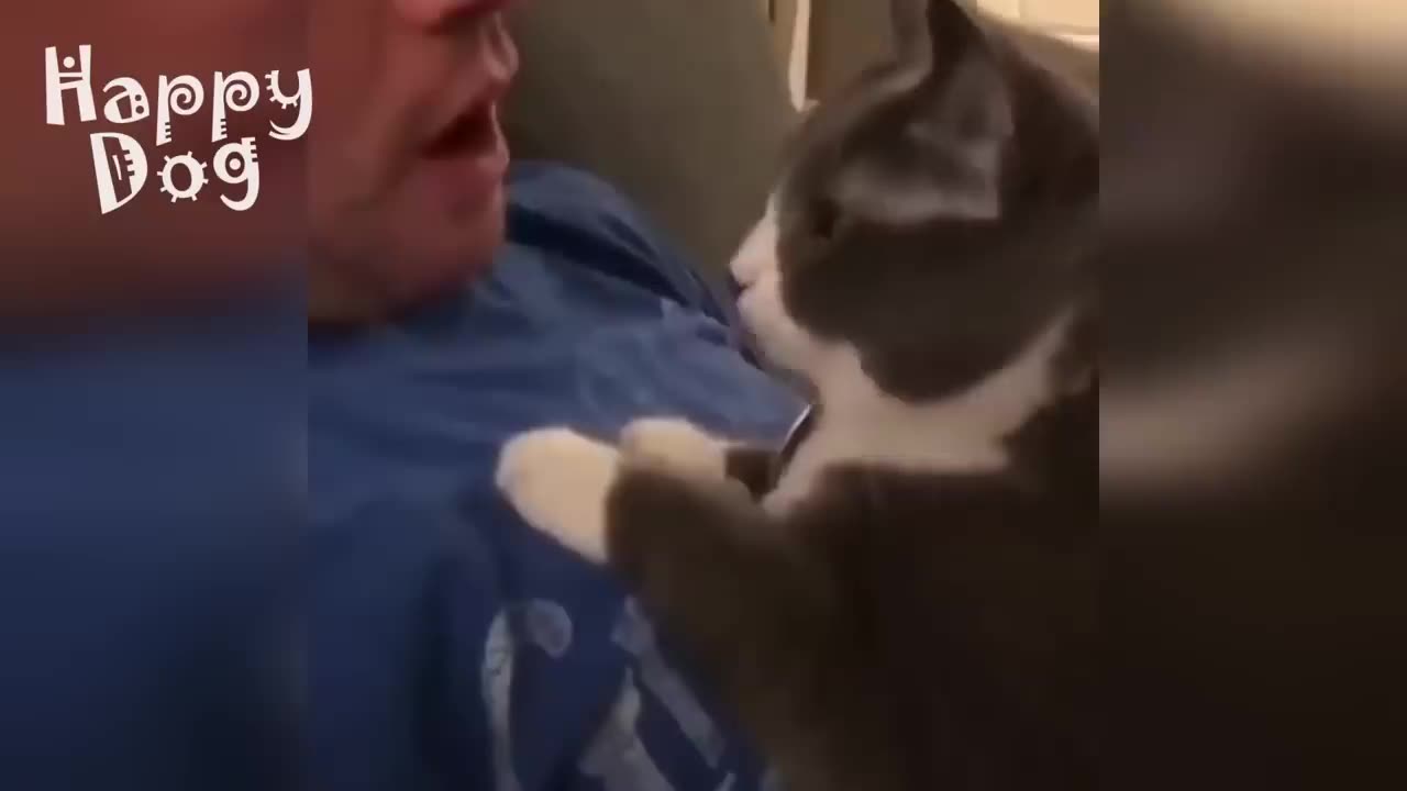 Cute cats and Dogs | Funny video #82
