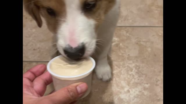 Red likes ice cream