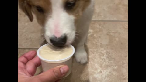 Red likes ice cream