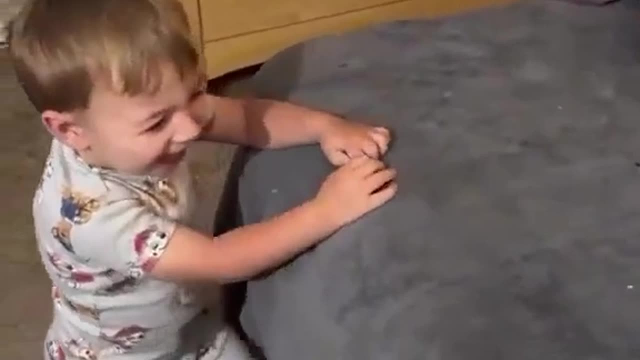 cat playing with kids