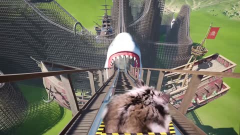 Hamster in Roller Coaster Maelstrom with shark