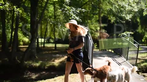 SUMMER 2023 || Dog tricks - Aiko & Owen