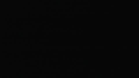 2901LHOB01XrayMainEntrance_2021-01-05_02h40min00s863ms.mp4