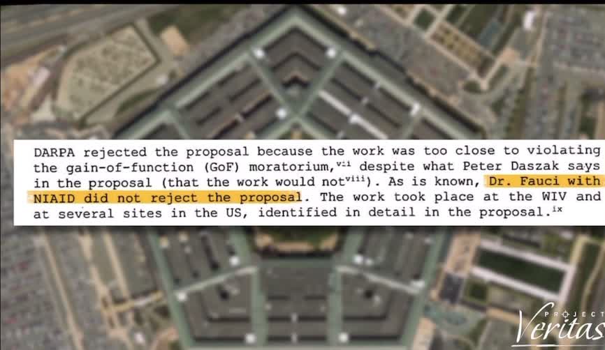 Project Veritas Exposes Fauci & Gain Of Function