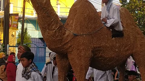 Karnaval Agustusan naik unta