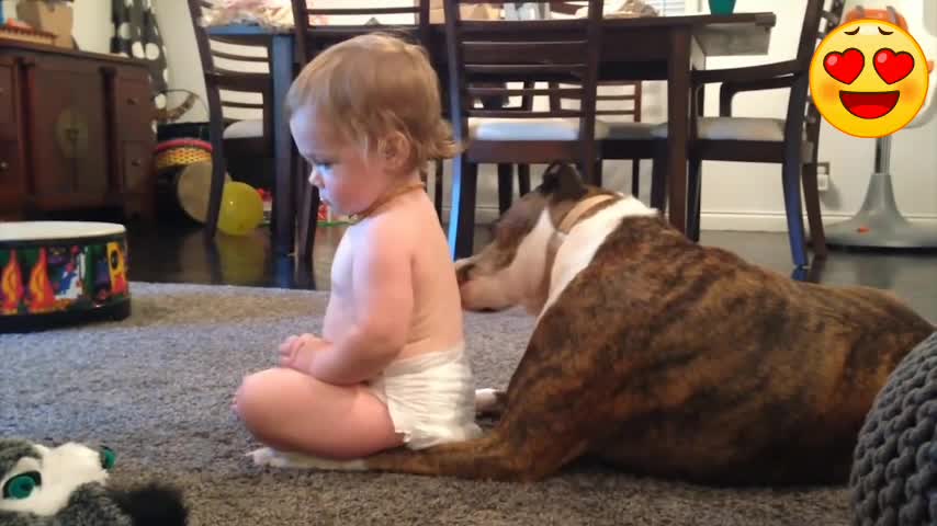 Cute Baby Playing With Dogs Compilation - Baby Pets Video ||