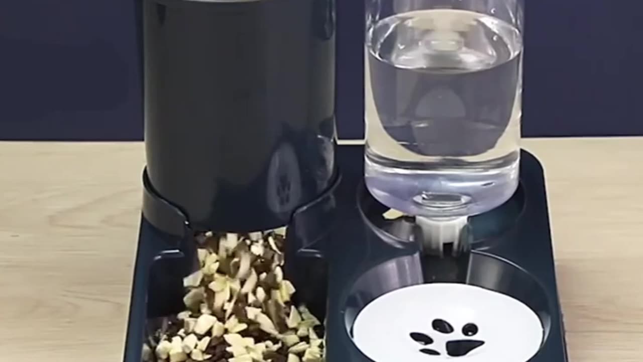 2-in-1 Automatic Pet Feeder and Waterer