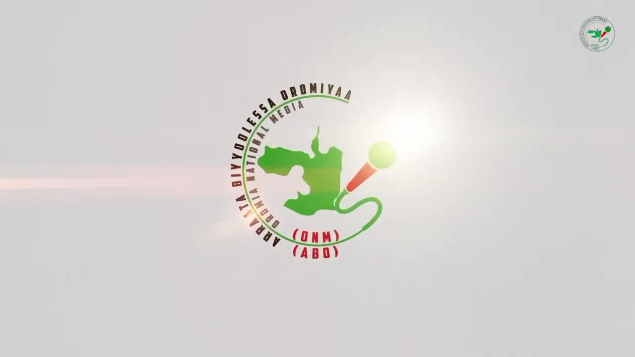 Oduu Waaree ONM-ABO Adoolessa 11 -2024 itti dhiyaadhaa!