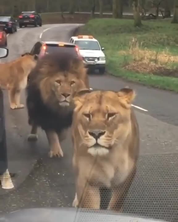 a peaceful trip 😁😁😁