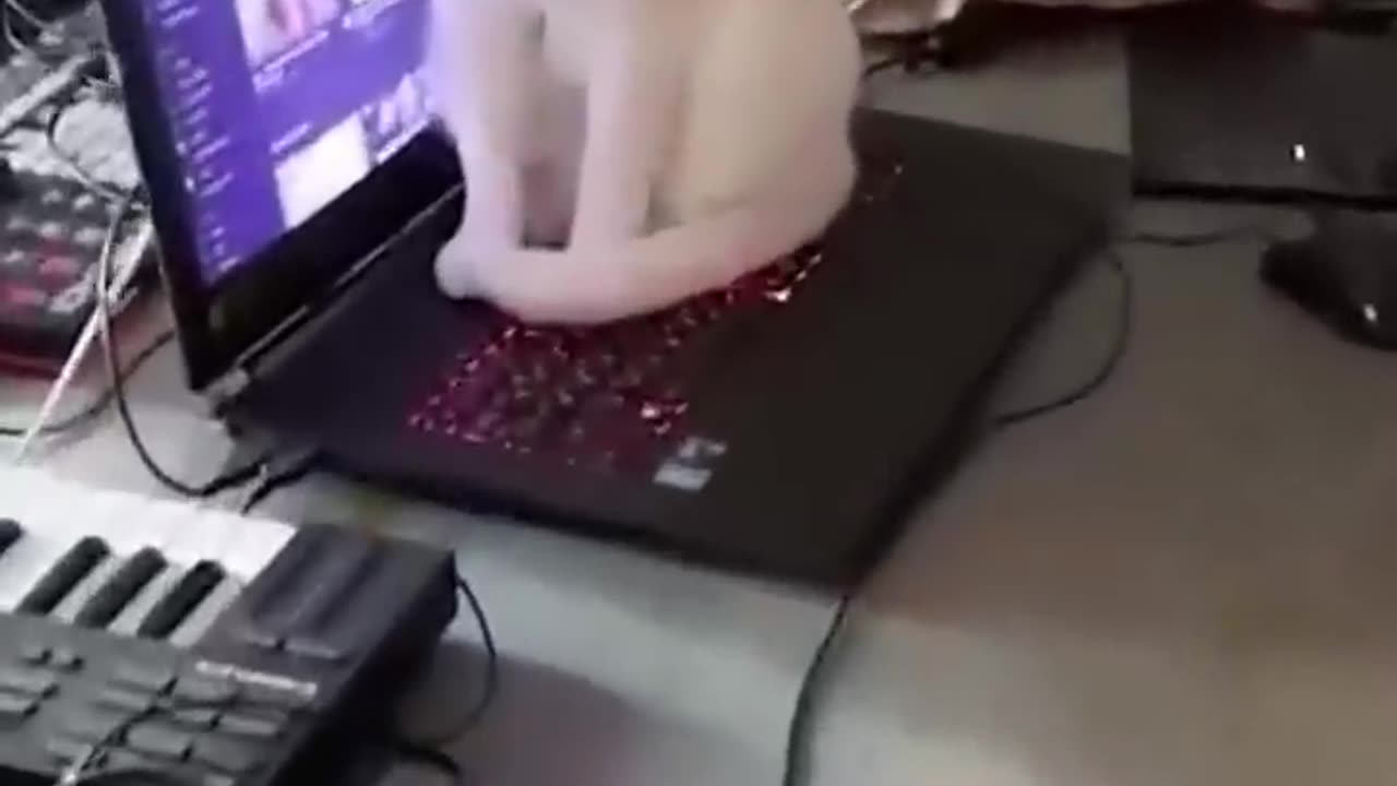 Funny meme 27