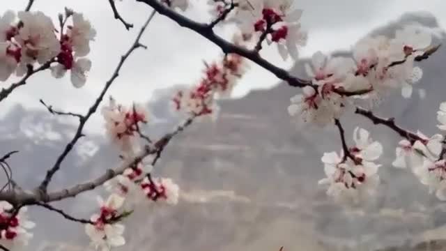 Gilgit pakistan