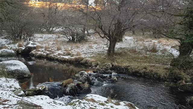 Ambient sounds of a river. DARTMOOR 15th Dec 2022