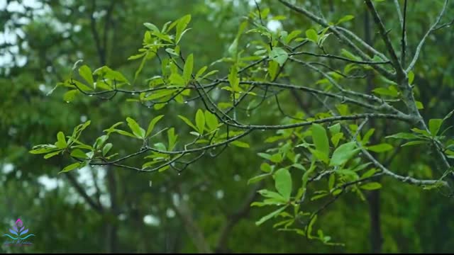 [4K HD] Slow Yoga Meditation Flow For A Rainy Day Relax & Stretch.